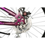 Велосипед NOVATRACK 20" ALICE пурпурный,  стальная рама, 6 скор., Shimano TY21/Microshift TS38, диск
