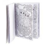 Книга раскрасок антистресс BONDIBON, Мистические совы, 24 дизайна, размер 28,5x21 см, арт. CPA3203V